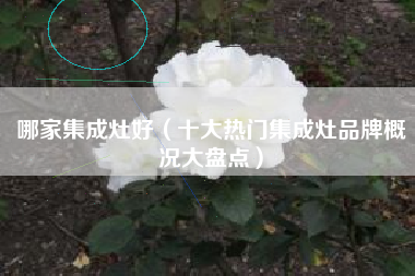 哪家集成灶好（十大热门集成灶品牌概况大盘点）