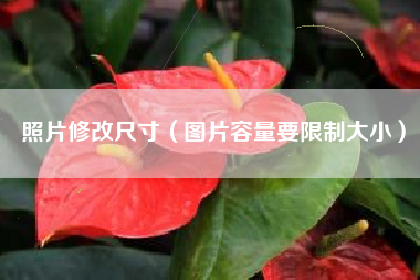 照片修改尺寸（图片容量要限制大小）