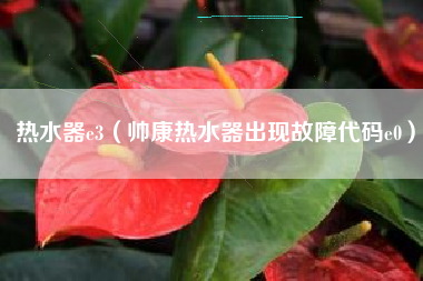 热水器e3（帅康热水器出现故障代码e0）