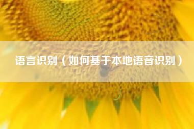语言识别（如何基于本地语音识别）