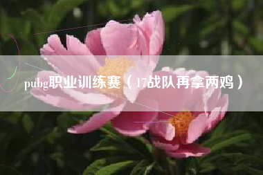 pubg职业训练赛（17战队再拿两鸡）