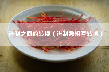 进制之间的转换（进制数相互转换）