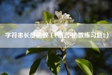 字符串长度函数（C语言 函数练习题2）