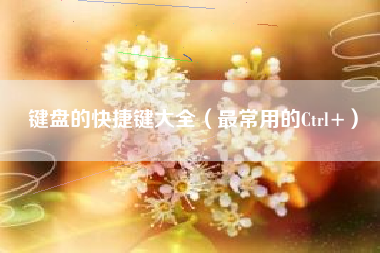 键盘的快捷键大全（最常用的Ctrl+）