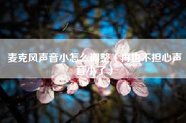 麦克风声音小怎么调整（再也不担心声音小了）
