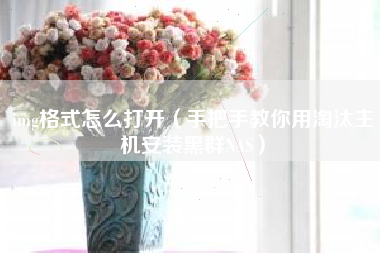 img格式怎么打开（手把手教你用淘汰主机安装黑群NAS）