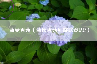 蓝受香菇（蓝瘦香菇到底啥意思?）