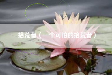拾荒者（一个可怕的拾荒者）