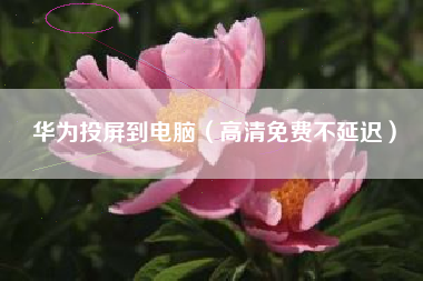 华为投屏到电脑（高清免费不延迟）