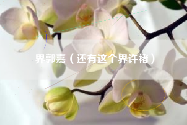 界郭嘉（还有这个界许褚）