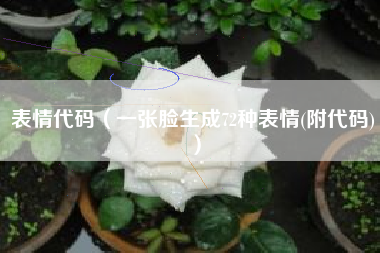 表情代码（一张脸生成72种表情(附代码)）