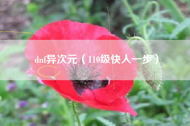 dnf异次元（110级快人一步）