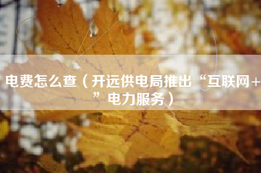 电费怎么查（开远供电局推出“互联网+”电力服务）