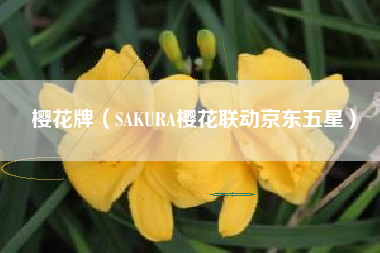 樱花牌（SAKURA樱花联动京东五星）