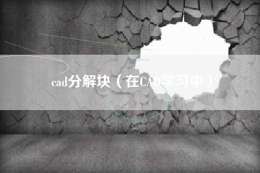 cad分解块（在CAD学习中）