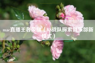 mac直播王者荣耀（KS战队探索俱乐部新模式）
