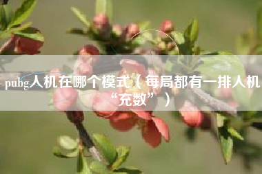 pubg人机在哪个模式（每局都有一排人机“充数”）