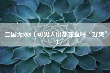 三国无双9（可男人们却在直呼“好爽”）