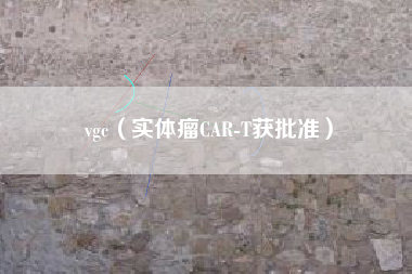 vgc（实体瘤CAR-T获批准）