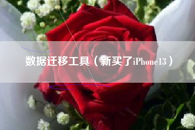 数据迁移工具（新买了iPhone13）