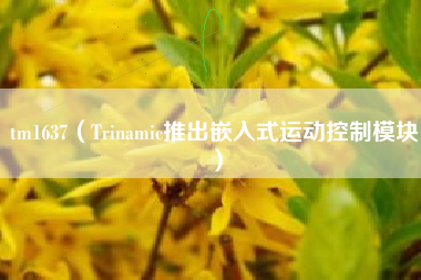 tm1637（Trinamic推出嵌入式运动控制模块）