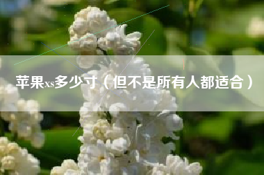 苹果xs多少寸（但不是所有人都适合）
