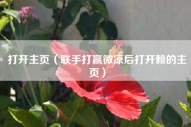 打开主页（联手打赢微凉后打开赖的主页）