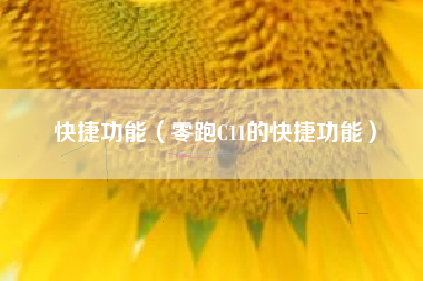 快捷功能（零跑C11的快捷功能）