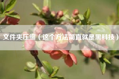 文件夹压缩（这个方法简直就是黑科技）
