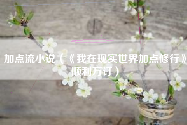 加点流小说（《我在现实世界加点修行》顺利万订）