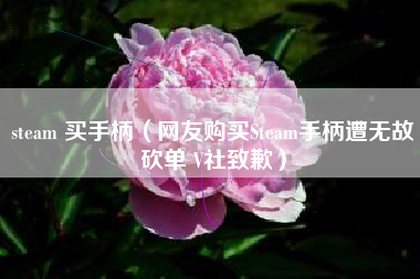 steam 买手柄（网友购买Steam手柄遭无故砍单 V社致歉）