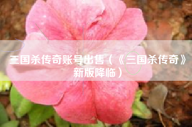 三国杀传奇账号出售（《三国杀传奇》新版降临）