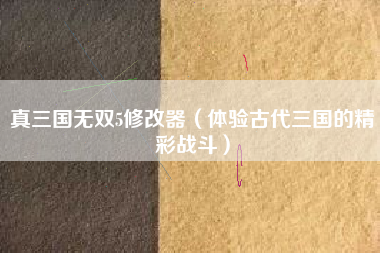 真三国无双5修改器（体验古代三国的精彩战斗）