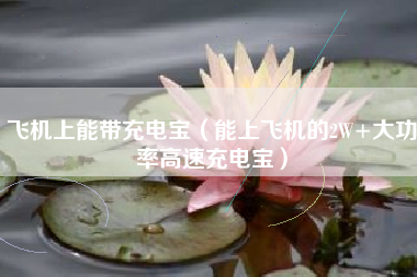 飞机上能带充电宝（能上飞机的2W+大功率高速充电宝）