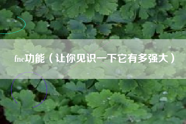 fnc功能（让你见识一下它有多强大）