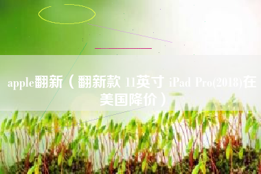 apple翻新（翻新款 11英寸 iPad Pro(2018)在美国降价）
