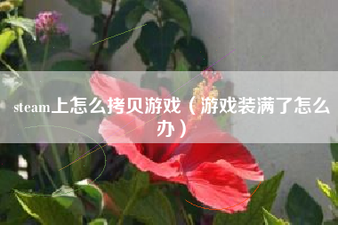 steam上怎么拷贝游戏（游戏装满了怎么办）