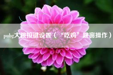 pubg大跳按键设置（“吃鸡”跳窗操作）