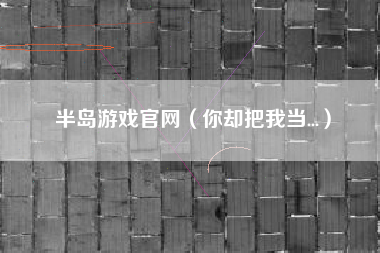 半岛游戏官网（你却把我当...）