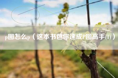 p图怎么p（这本书包你速成P图高手(1)）