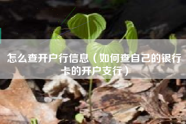 怎么查开户行信息（如何查自己的银行卡的开户支行）