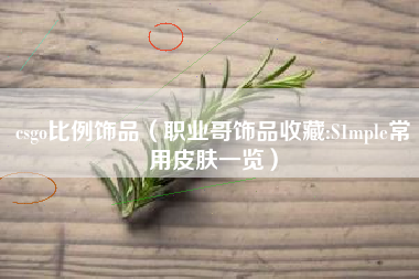 csgo比例饰品（职业哥饰品收藏:S1mple常用皮肤一览）