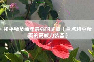 和平精英新年最强的武器（盘点和平精英的高威力装备）