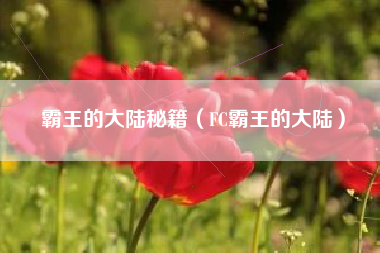 霸王的大陆秘籍（FC霸王的大陆）