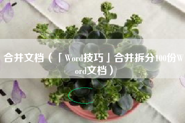 合并文档（「Word技巧」合并拆分100份Word文档）