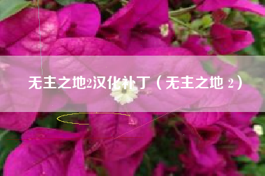 无主之地2汉化补丁（无主之地 2）