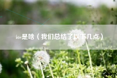 ios是啥（我们总结了以下几点）