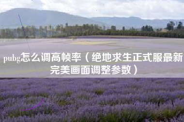 pubg怎么调高帧率（绝地求生正式服最新完美画面调整参数）