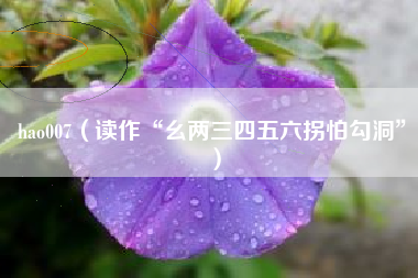 hao007（读作“幺两三四五六拐怕勾洞”）