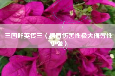 三国群英传三（榜首伤害性极大侮辱性更强）